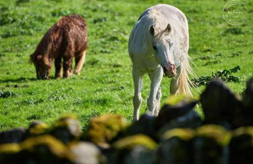 The Stables at Rocking Stones - Foto 15