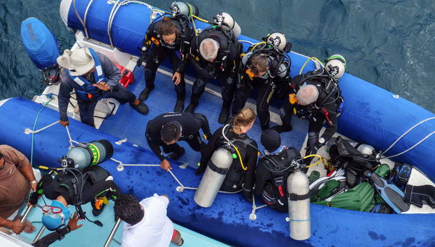 North Galapagos Islands 8-Day Diving Cruise - Foto 3