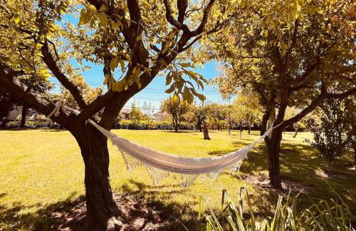 Quinta Tilia - Farmhouse - Foto 6