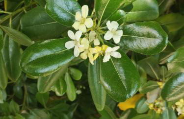 La perle de Gordes - Photo 38