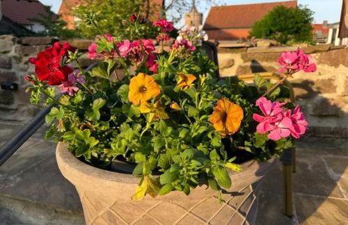 Villa Dornröschen Grebenstein - Foto 24