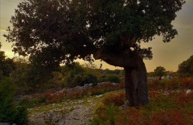 Apartmani Milena - Foto 70