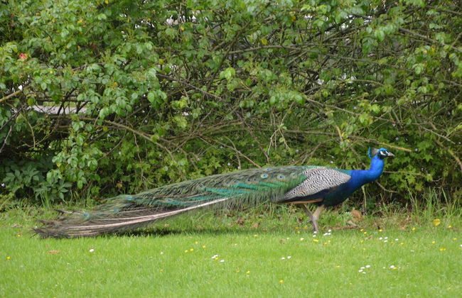 Holiday Home in a Historic Building Near Montreuil - Foto 53