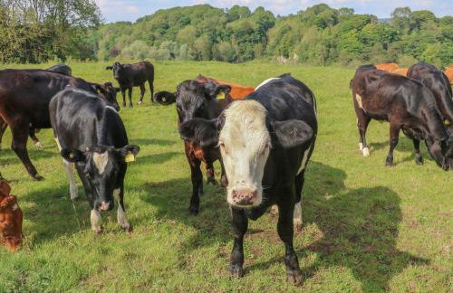 Hope Cottage - Foto 32