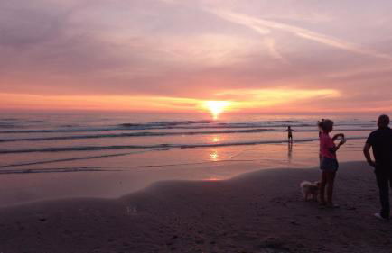 Au bord des Dunes - Foto 15