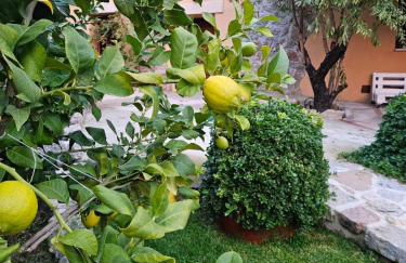 EL PATIO DE LAS TINAJAS - Photo 37