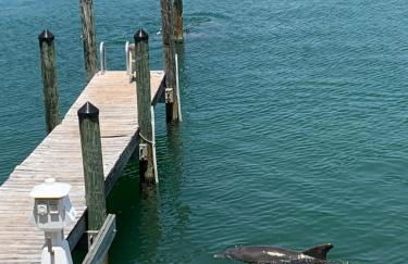 Luxury and Spacious Waterside Getaway - Foto 43