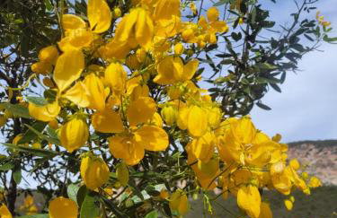 Chalé Gravatinha - Foto 11