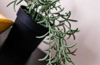 Spacious 4Bed Parking & Wi-Fi - Contractor Stays - Foto 34