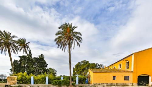 MAS DE BERNIS - Sequer - Foto 3