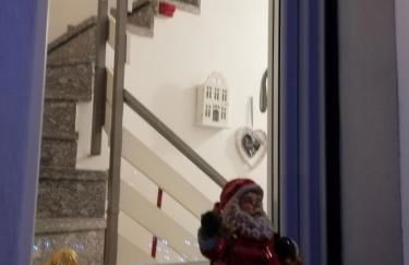 I tulipani - Foto 45