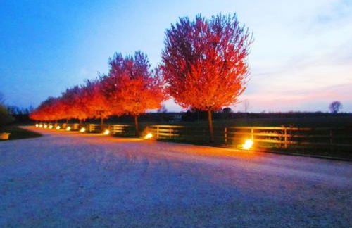 Agriturismo Le Cipressine - Foto 82