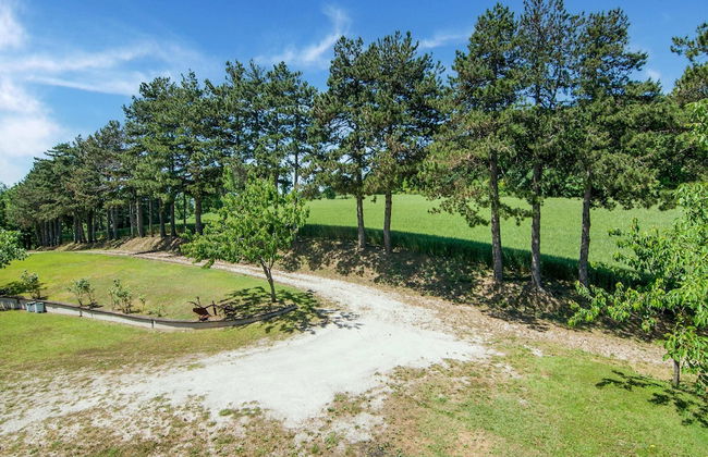 Villa in Tavoleto With Pool - Foto 36