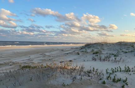 Carolina Breeze - Foto 3