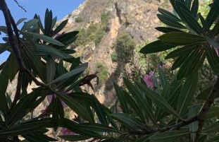 Casa de la Parra - Foto 30