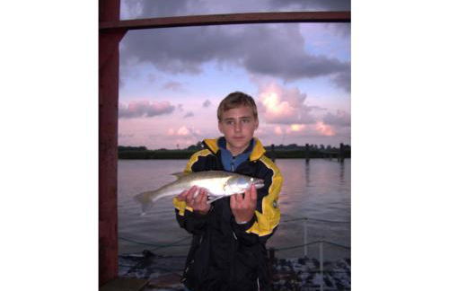 Buchbinder 5 Comfortable holiday residence - Foto 18