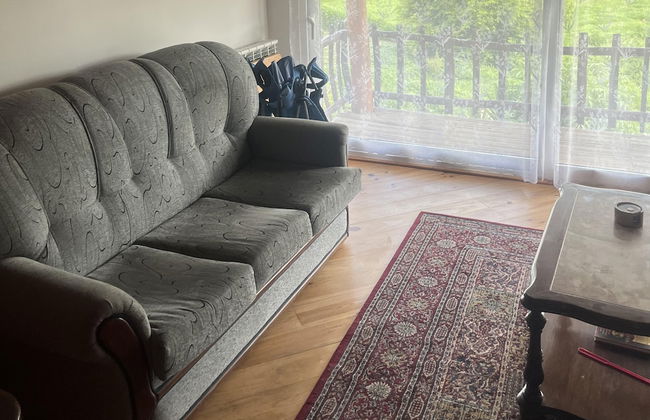 1 bed - Sleeps 4 - Pets - Balcony - Mtn View - Foto 6