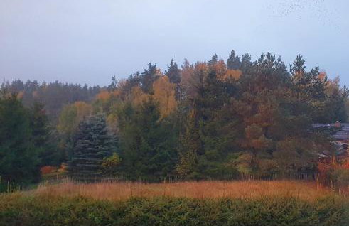 Zaciszne SPA - Foto 45