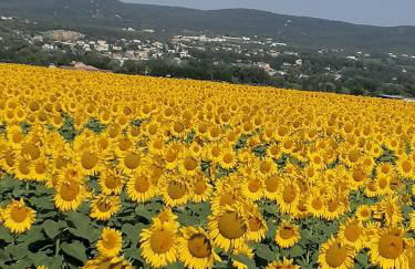 Charmante maison avec terrasse aux portes de l'Ardèche - Foto 20