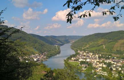 Mosel Ausblick - Foto 54