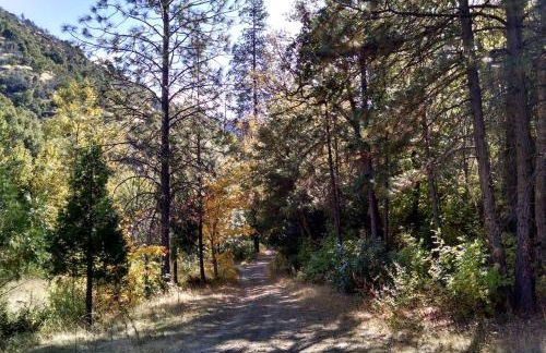 Unique Renovated School Bus for Camping in the Klamath National Forest, California - Foto 7