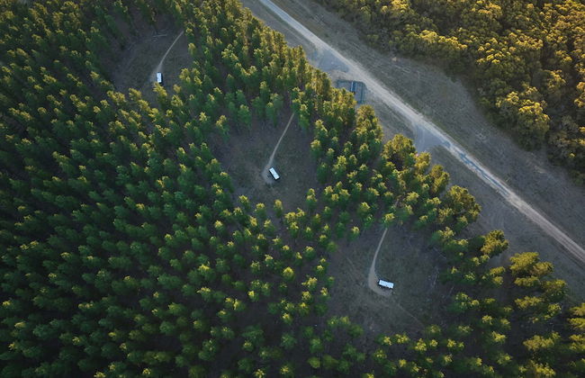 CABN Kuitpo Forest - Foto 9