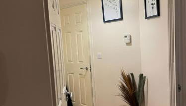 Next-Stop Haven - Foto 3