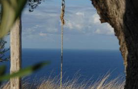 JATU Retreat - Photo 14
