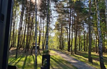 Jemioła Chaty Niedźwiady Małe - Foto 19