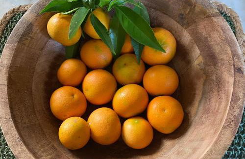 Casa de Santiago - Foto 28