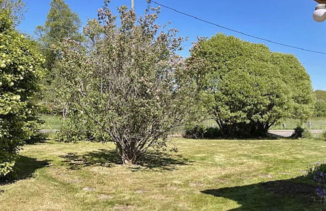 6 Person Holiday Home in Braas - Foto 14