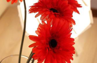 Casa del Sole - Foto 12