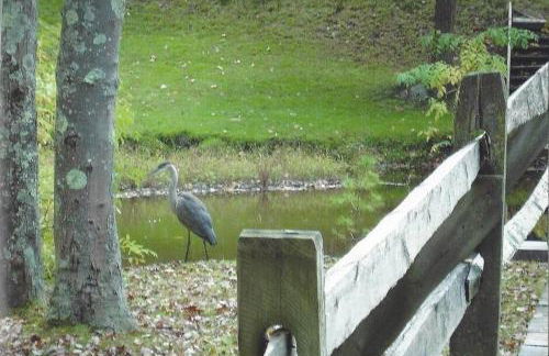 Cottage at Millpond Falls - A Romantic Escape - Foto 26