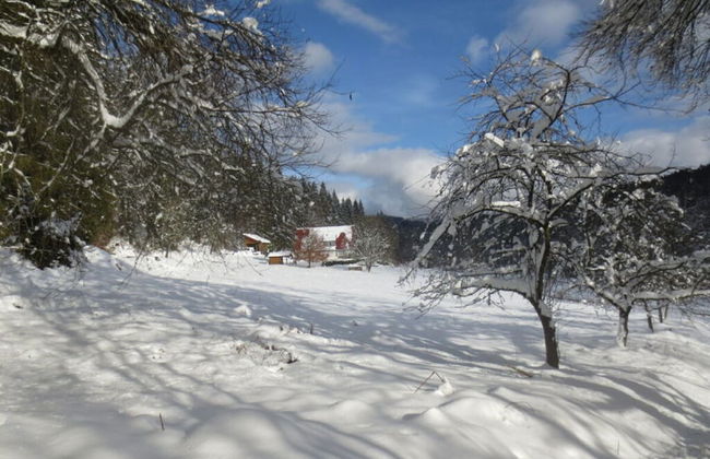 Holiday Home Tauchert - Foto 21