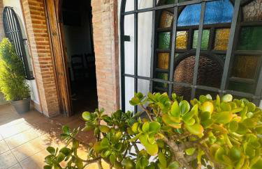 La chumbera - Foto 22