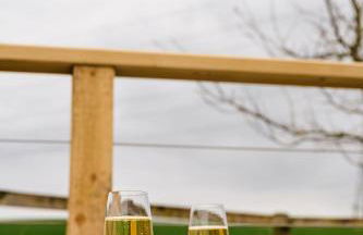 Kite Lodge - Foto 23