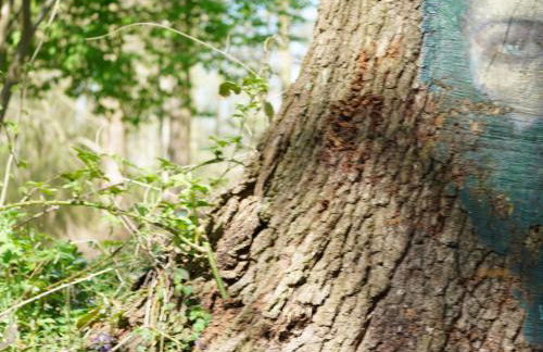 Apartment Spree Idyll by Interhome - Foto 26