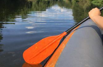 Rast am Park - Foto 26