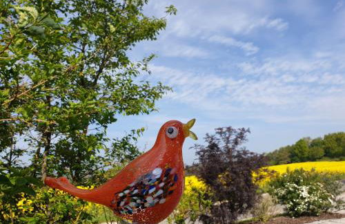 Panorama Ferienwohnungen Thiem - Foto 19