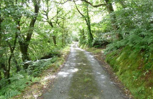 Romany Wagon & Cwtch - Photo 15