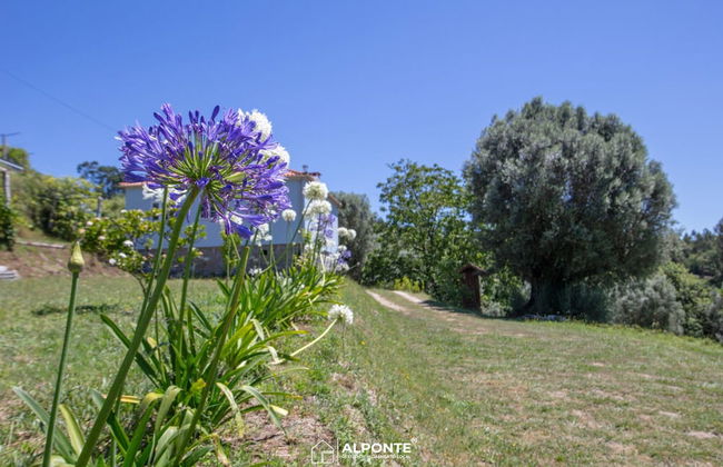 Quinta da Costeira - Casa Azul do Limoal - Foto 24