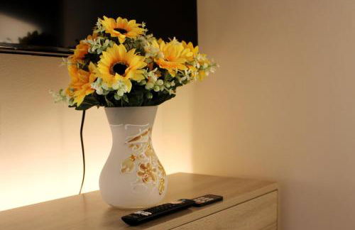 L' Antico Scoglio Appartamenti comfort Nocera Terinese Scalo - 4,7 e 11 Ospiti - Navetta Aeroporto-Stazione & Multi-Destinazioni - Piscina - Spiaggia a 300mt - Giardino e Zona pranzo all'aperto - WiFi & SmartTV - Aria Condizionata - Foto 24