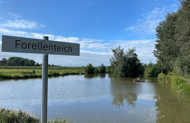 Ferienhaus in Hechthausen mit Terrasse - Foto 64
