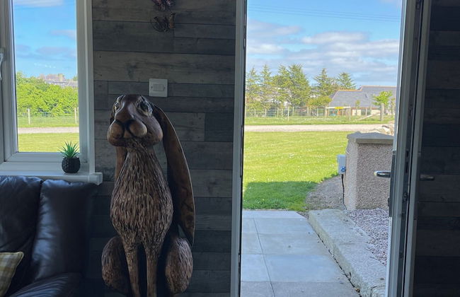 Acdc Glamping, Campervan , Caravan and Tent Resort - Photo 76