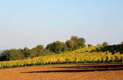 Ferienwohnung im schönen Zellertal - Foto 22