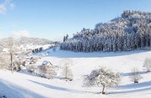 Müllerleile Hof - Foto 10