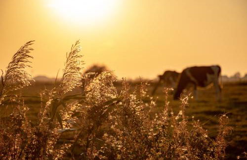 Leichte Brise - Foto 29