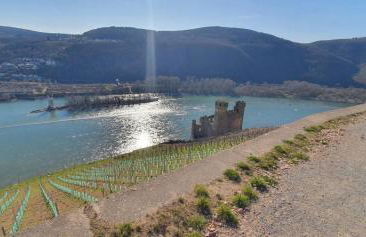 Birkennest - Foto 16