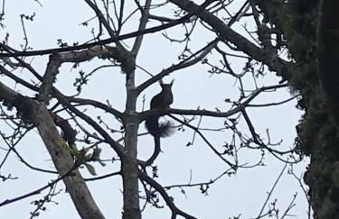 Casa do Eirô - Foto 16