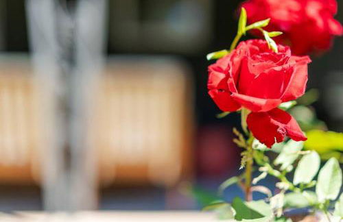 PingPong-YardGames-NewKitchen - Foto 25